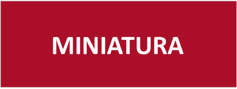 miniatura.png